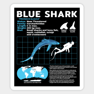 Blue Shark Fact Sheet Magnet